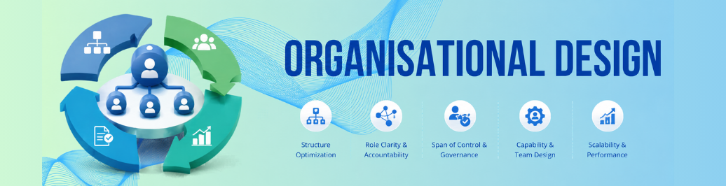 Organisational Design